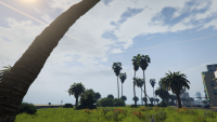 GTA