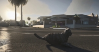 GTA