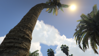 GTA