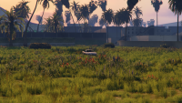 GTA